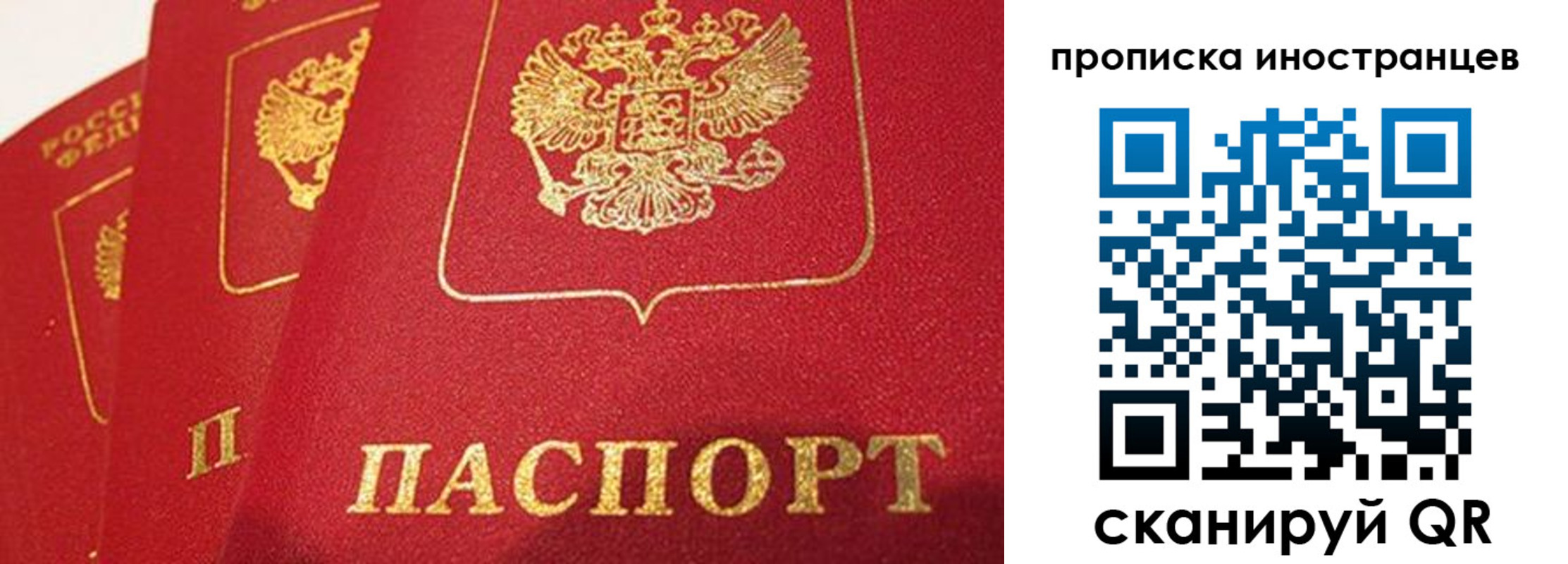 прописка поиск в Дорогобуже
